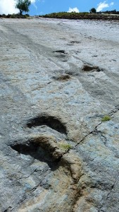 Footprints2
