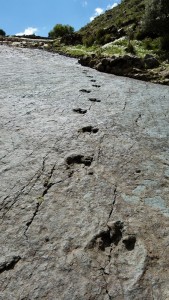Footprints3